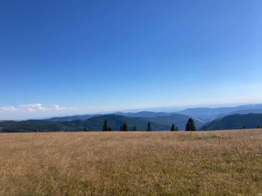 Feldberg Apartment - Direkt An Der Skipiste - Mit Sauna Екстер'єр фото