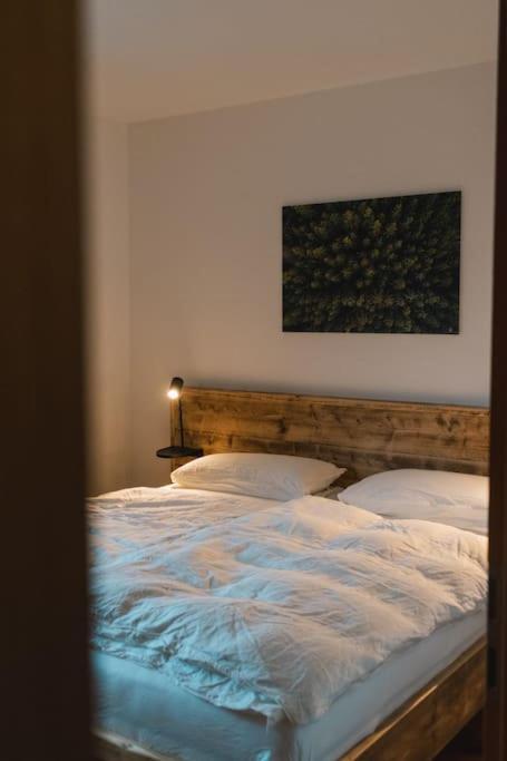 Feldberg Apartment - Direkt An Der Skipiste - Mit Sauna Екстер'єр фото