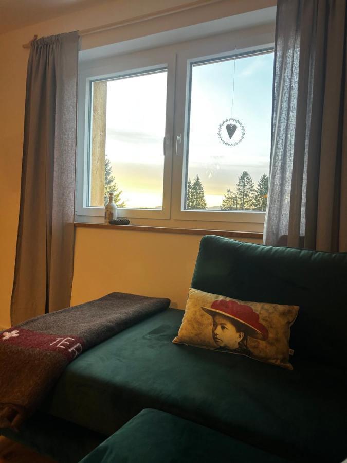 Feldberg Apartment - Direkt An Der Skipiste - Mit Sauna Екстер'єр фото