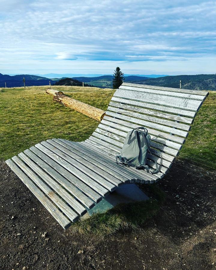 Feldberg Apartment - Direkt An Der Skipiste - Mit Sauna Екстер'єр фото
