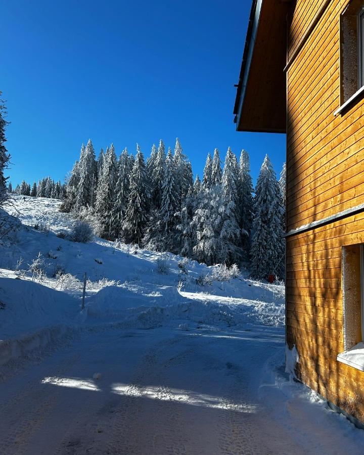 Feldberg Apartment - Direkt An Der Skipiste - Mit Sauna Екстер'єр фото