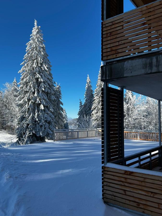 Feldberg Apartment - Direkt An Der Skipiste - Mit Sauna Екстер'єр фото