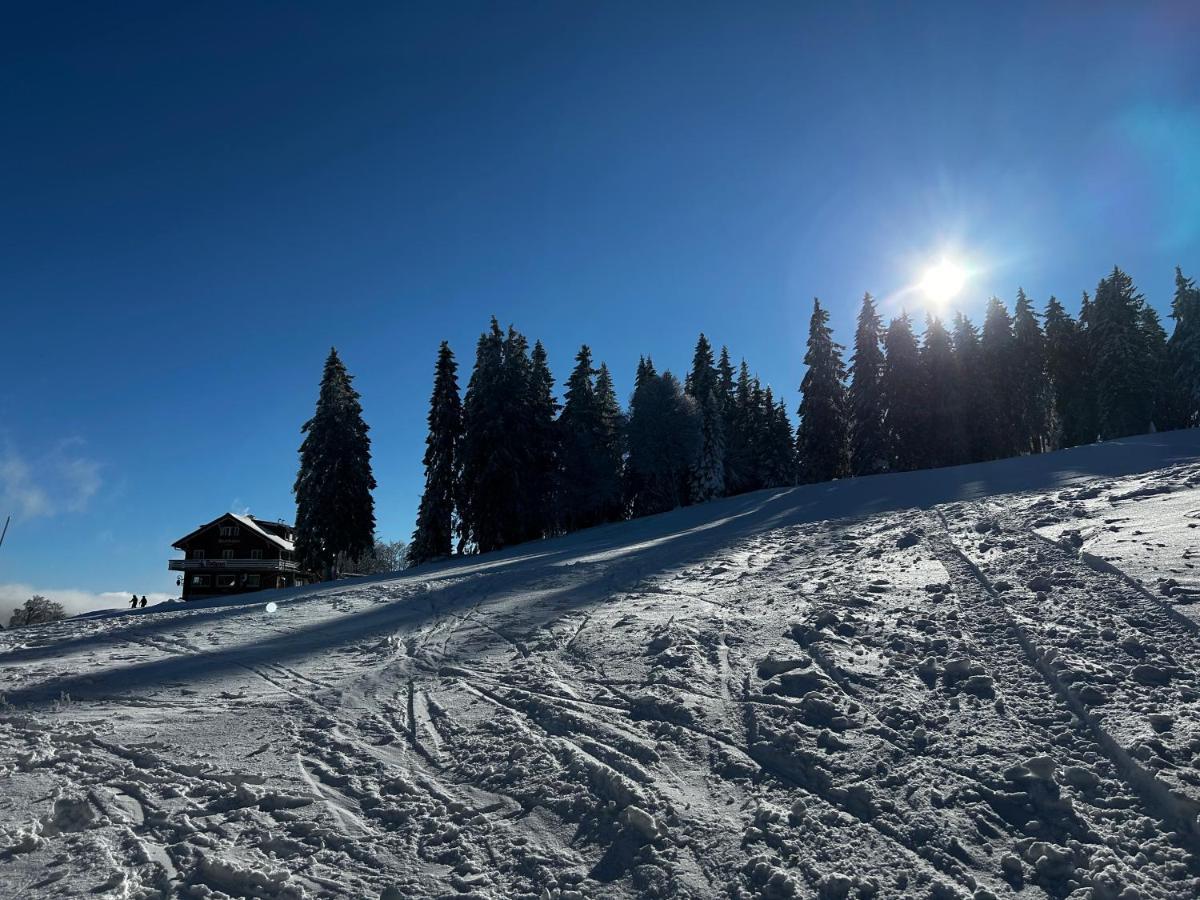 Feldberg Apartment - Direkt An Der Skipiste - Mit Sauna Екстер'єр фото