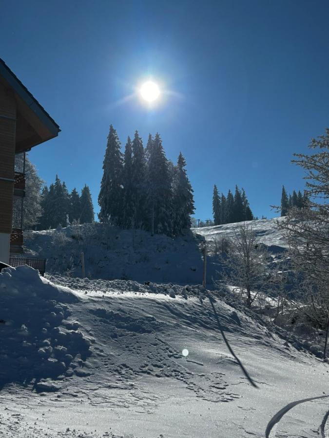 Feldberg Apartment - Direkt An Der Skipiste - Mit Sauna Екстер'єр фото