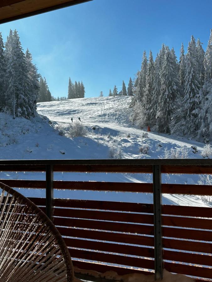Feldberg Apartment - Direkt An Der Skipiste - Mit Sauna Екстер'єр фото